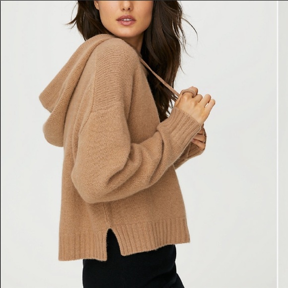 Aritzia Sweaters - Aritzia Group Babaron Luxe Cashmere Hoodie
